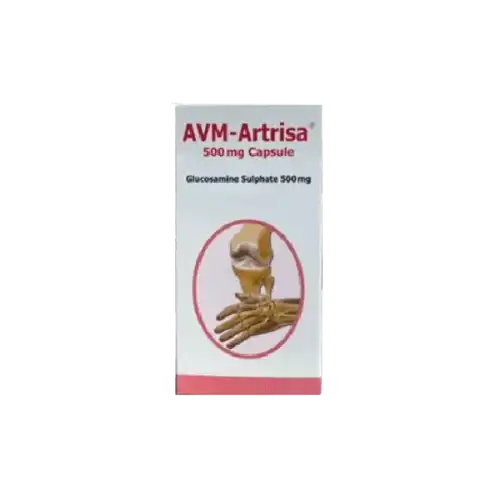 Avm-Artrisa 500mg Capsule 30s