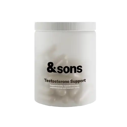 AndSons Testosterone Support Supplement Capsule 120s