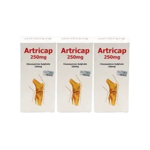 Artricap 250mg Capsule 100s x3