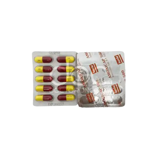 Hovid Amoxicap (Amoxycillin) 500mg Capsule 10s (Strip)