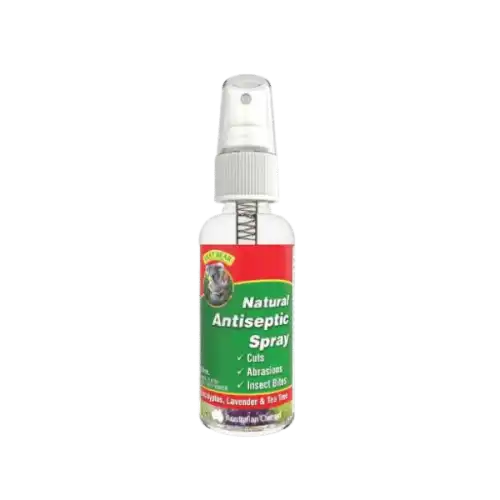 Euky Bear Antiseptic Spray 55ml
