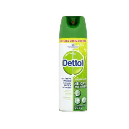 Dettol Disinfectant Spray 450ml Morning Dew