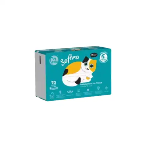 PMG Softra Premium Facial Tissue 4Ply Ultra Soft 100s (Large)