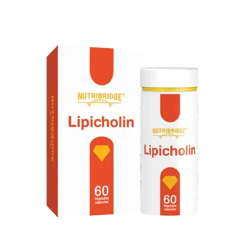 Nutribridge Lipicholin Vegcap 60s