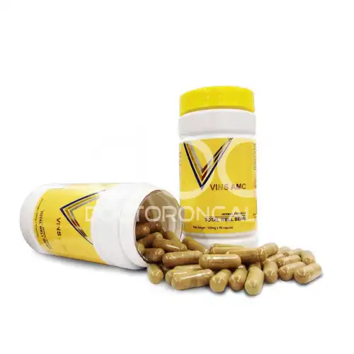 Vins AMC Wild Amla + Turmeric Capsule 90s